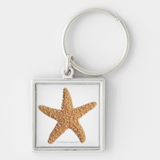 Starfish isolated on white keychain (Front)