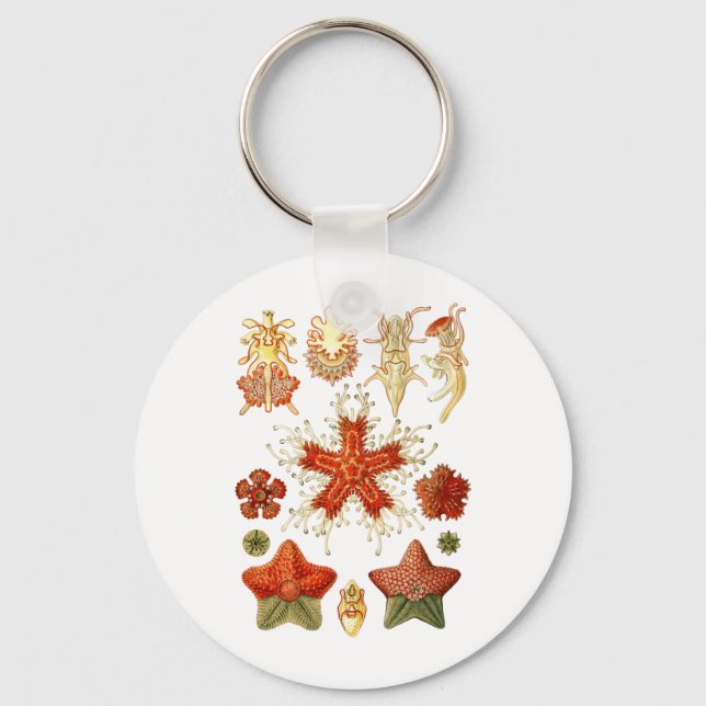 Starfish Keychain (Front)