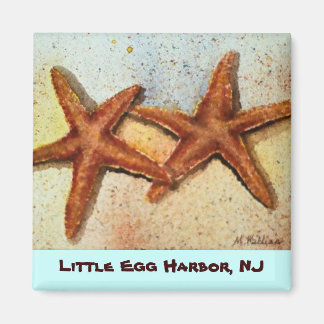 starfish, Little Egg Harbour, aimant NJ