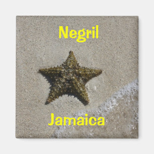 Starfish Magnet
