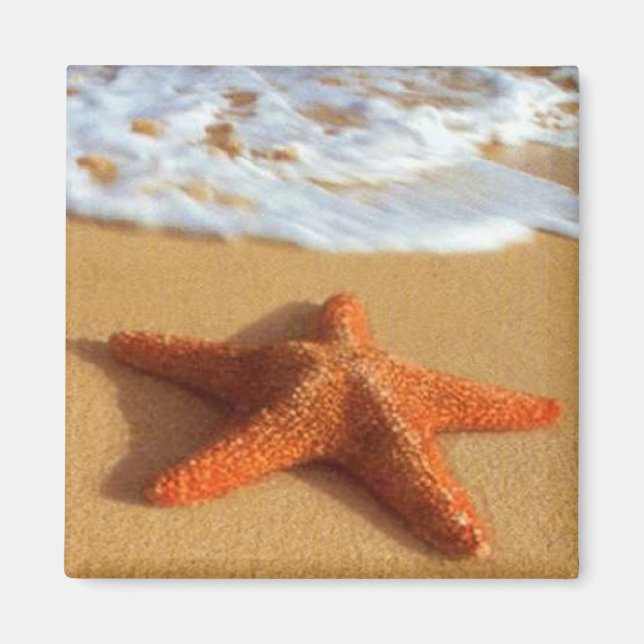 Starfish Magnet (Front)
