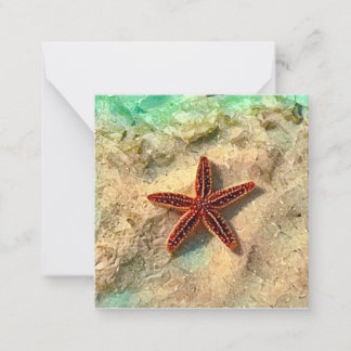 Starfish mini notecard set
