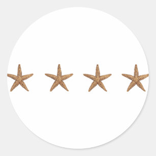 Starfish - Northern Sea Star Classic Round Sticker
