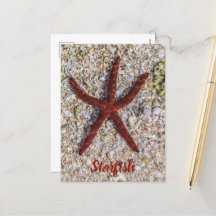 Starfish Ocean Vintage Beach Retro Souvenir