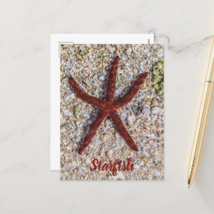 Starfish Ocean Vintage Beach Retro Souvenir Holiday Postcard