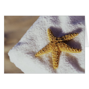 Starfish On A Towel