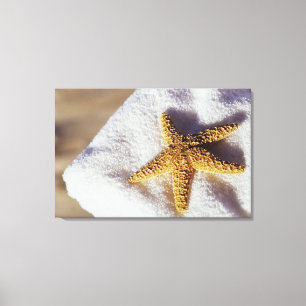 Starfish On A Towel Canvas Print
