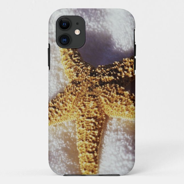 Starfish On A Towel Case-Mate iPhone Case (Back)