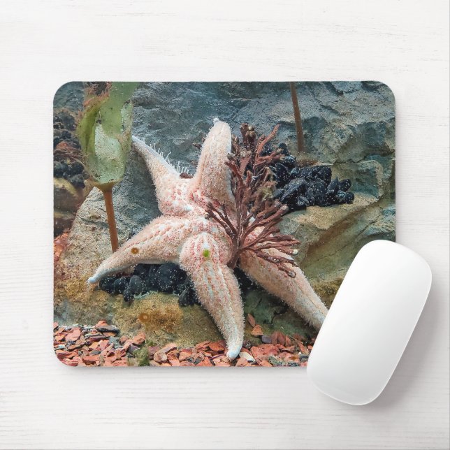 Starfish On Aquatic Plant Mouse Pad (With Mouse)