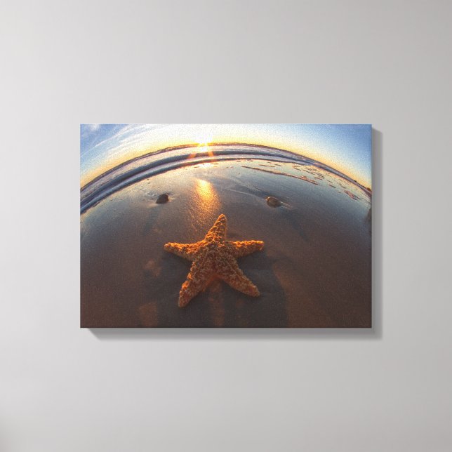 Starfish on Beach Canvas Print (Front)