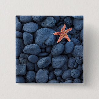 Starfish On Black Rocks Along The Coast | Iceland 2 Inch Square Button