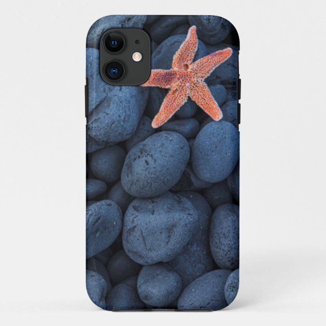 Starfish On Black Rocks Along The Coast | Iceland Case-Mate iPhone Case (Back)