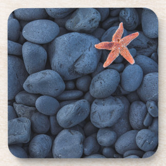 Starfish On Black Rocks Along The Coast | Iceland Coaster