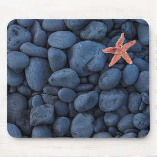 Starfish On Black Rocks Along The Coast | Iceland Mouse Pad