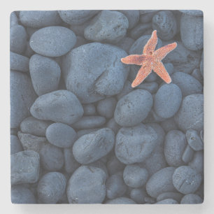Starfish On Black Rocks Along The Coast   Iceland Stone Coaster
