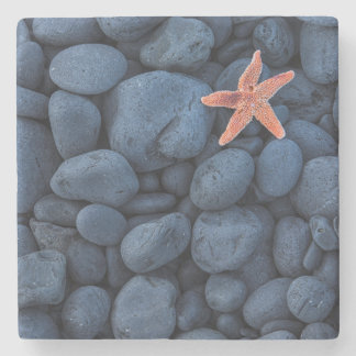 Starfish On Black Rocks Along The Coast | Iceland Stone Coaster