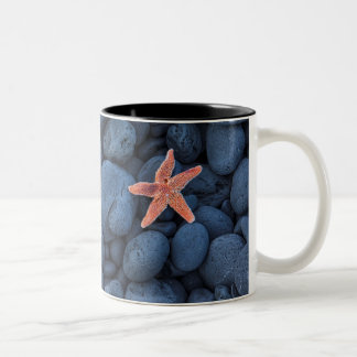 Starfish On Black Rocks Along The Coast | Iceland Two-Tone Coffee Mug