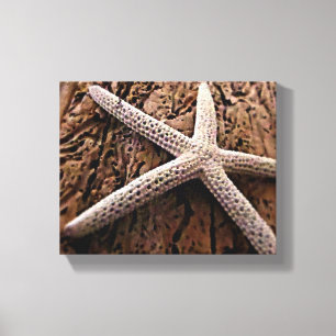 Starfish on Driftwood Canvas Print