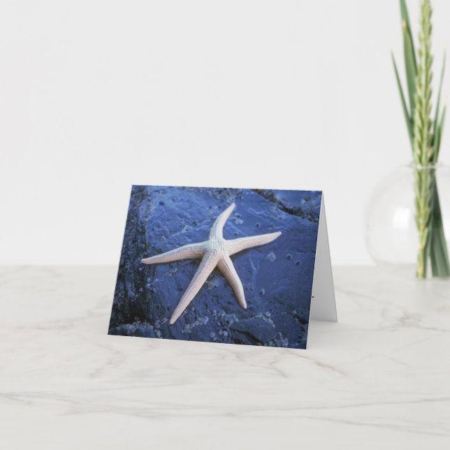 Starfish On Lava Rock Card (Front)