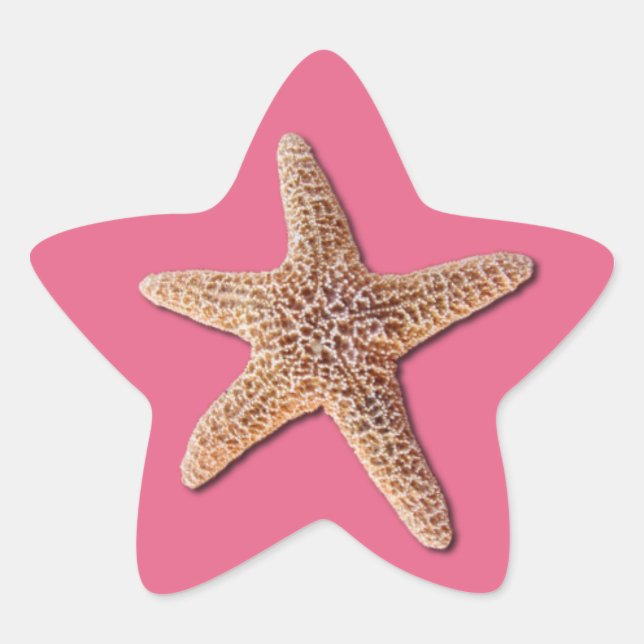 Starfish on pantone Honeysuckle 2011 Star Sticker (Front)