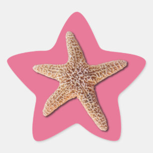 Starfish on pantone Honeysuckle 2011 Star Sticker