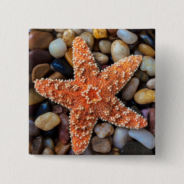 Starfish On Rocks 2 Inch Square Button (Front)
