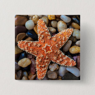 Starfish On Rocks 2 Inch Square Button