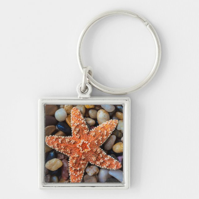 Starfish On Rocks Keychain (Front)