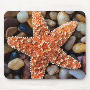 Starfish On Rocks Mouse Pad