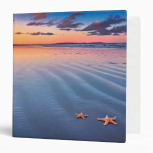 Starfish On Sand Binder