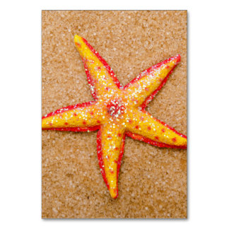 Starfish on Sand Table Number