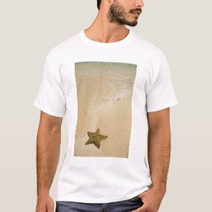 Starfish on sandy beach, Gibbs Cay Land T-Shirt
