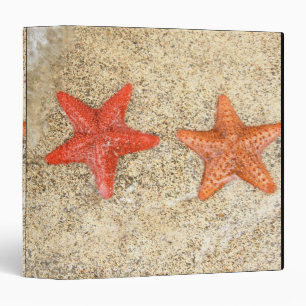 starfish on the beach, at the edge of the ocean binder