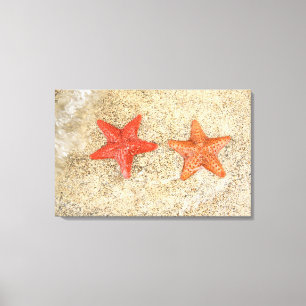 starfish on the beach, at the edge of the ocean canvas print