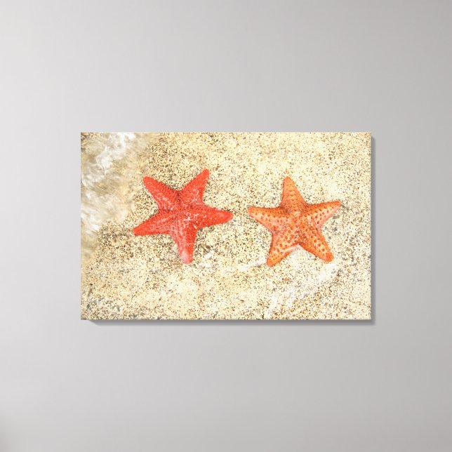 starfish on the beach, at the edge of the ocean canvas print (Front)