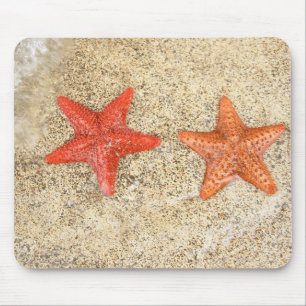 starfish on the beach, at the edge of the ocean mouse pad