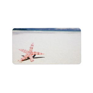 Starfish on the beach label