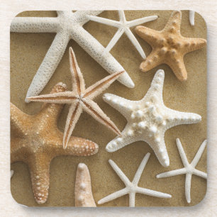 Starfish On The Sand Coaster