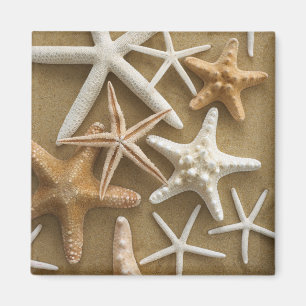 Starfish On The Sand Magnet