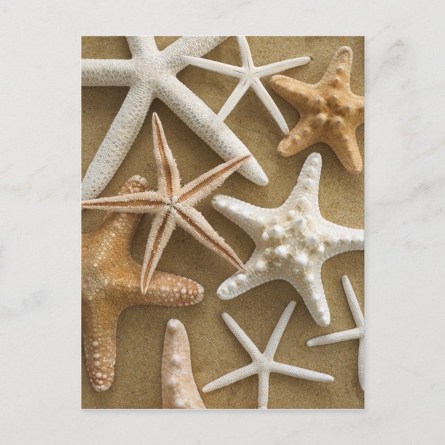 Starfish On The Sand Postcard (Front)