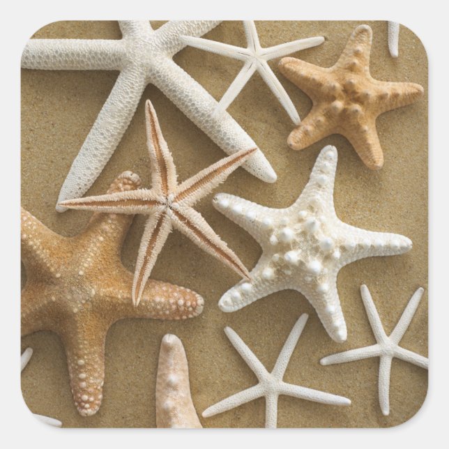 Starfish On The Sand Square Sticker (Front)