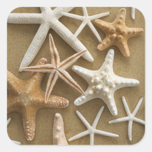 Starfish On The Sand Square Sticker