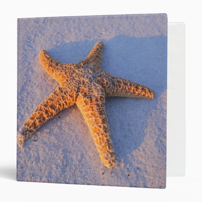 Starfish On White Sand Binder (Front/Inside)