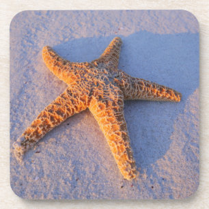 Starfish On White Sand Coaster