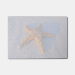 Starfish On White Sand Post-it Notes