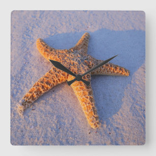 Starfish On White Sand Square Wall Clock