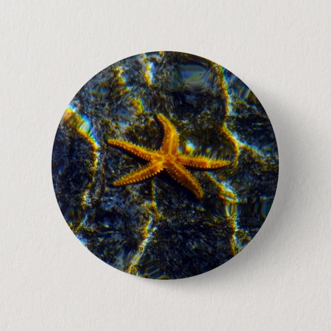 Starfish Pinback 2 Inch Round Button (Front)
