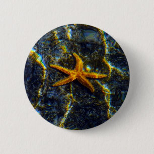Starfish Pinback 2 Inch Round Button