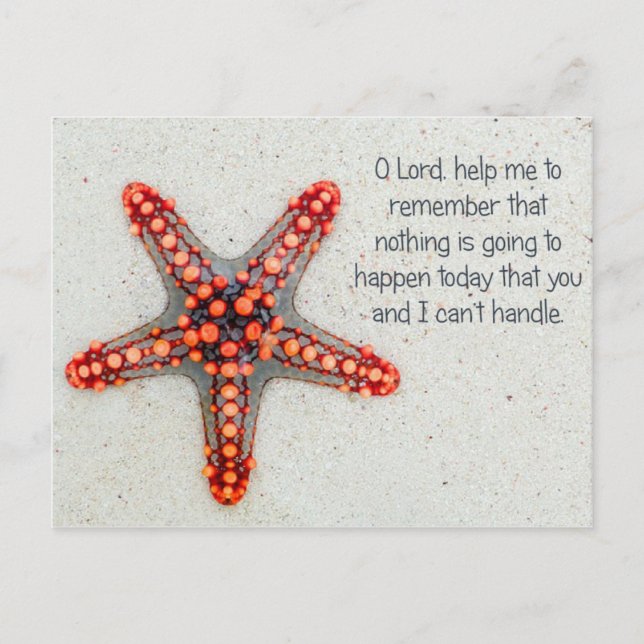 Starfish Postcard (Front)