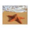 Starfish Postcard